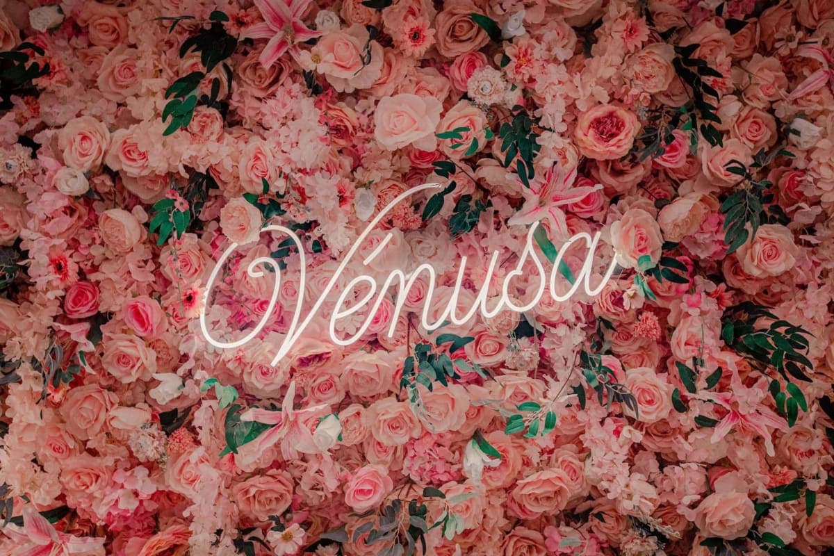 Vénusa Suite